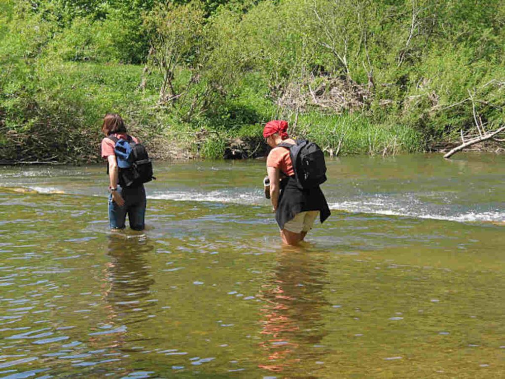 Bass the River and Sheila Mant