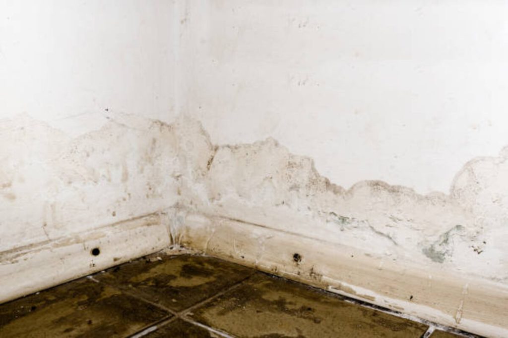 WDM Basement Waterproofing